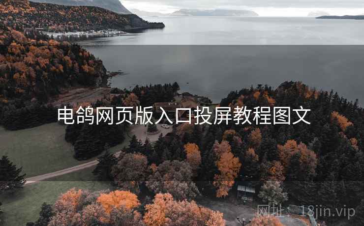 电鸽网页版入口投屏教程图文
