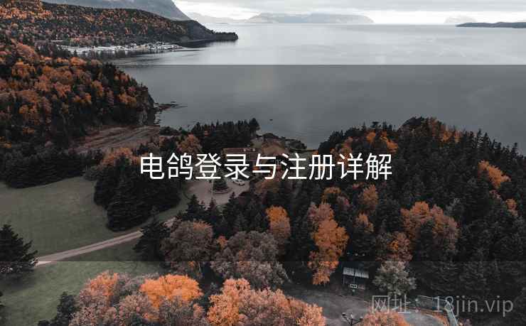 电鸽登录与注册详解