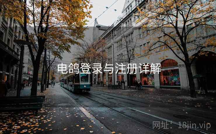 电鸽登录与注册详解