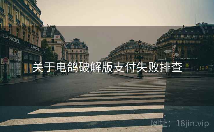 关于电鸽破解版支付失败排查