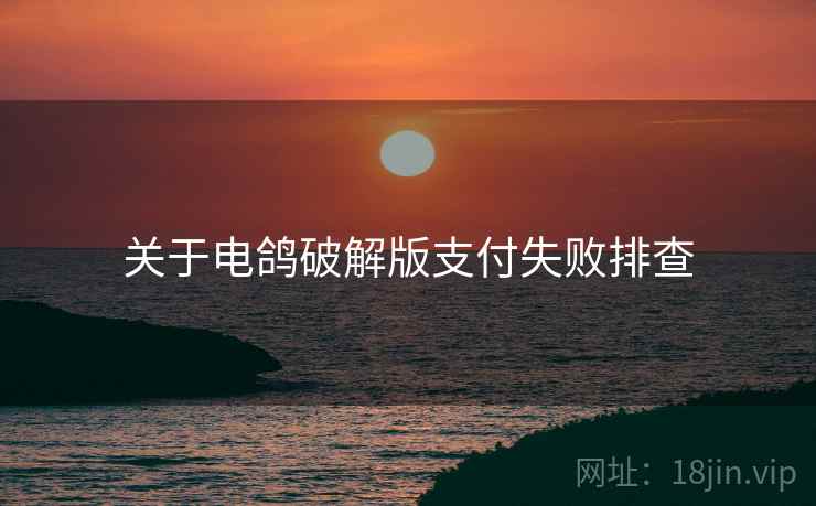 关于电鸽破解版支付失败排查