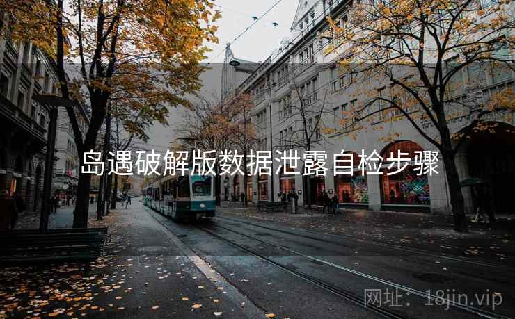 岛遇破解版数据泄露自检步骤