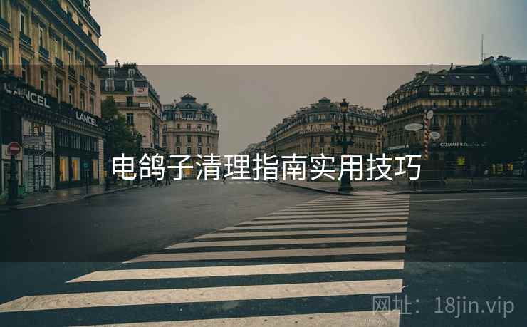 电鸽子清理指南实用技巧