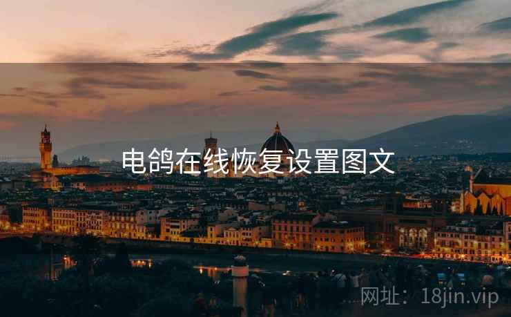 电鸽在线恢复设置图文