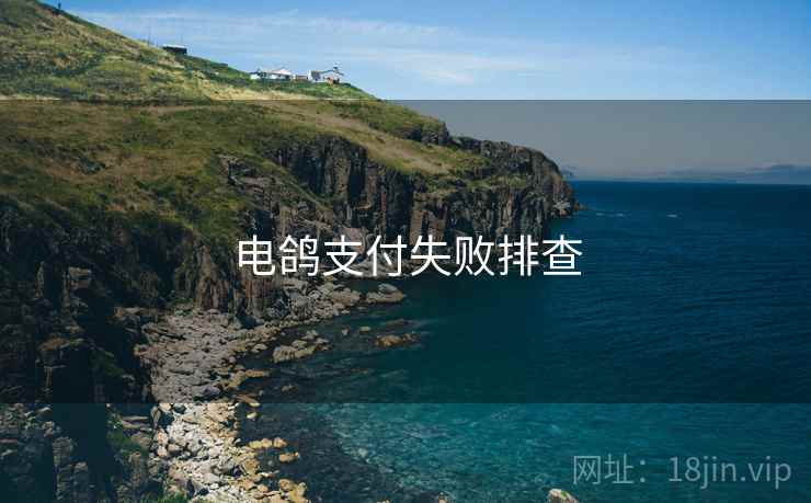 电鸽支付失败排查