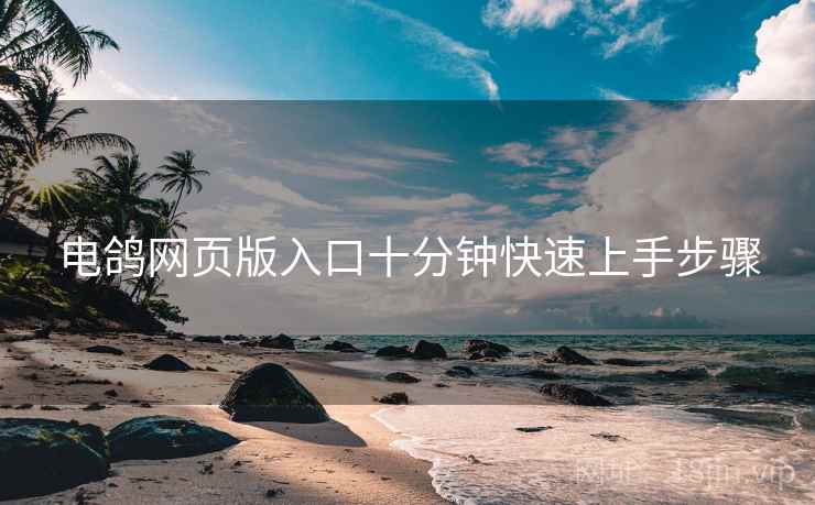 电鸽网页版入口十分钟快速上手步骤