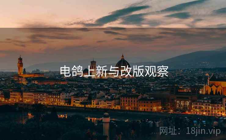 电鸽上新与改版观察