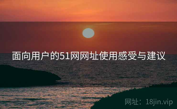 面向用户的51网网址使用感受与建议