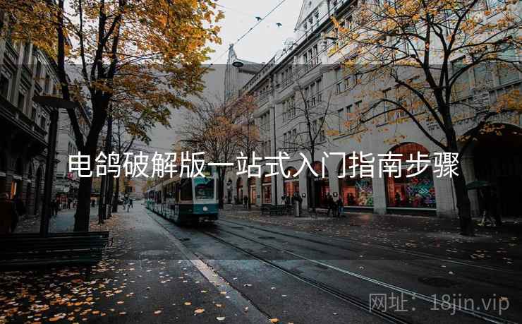 电鸽破解版一站式入门指南步骤