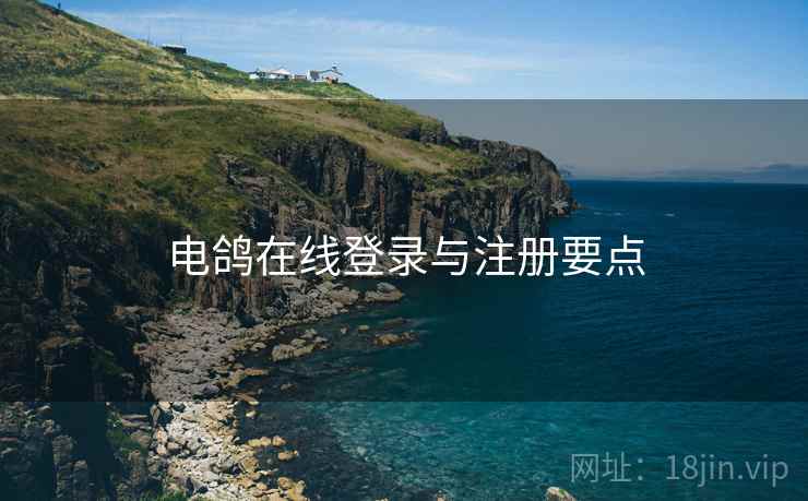 电鸽在线登录与注册要点