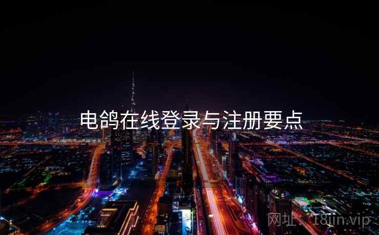 电鸽在线登录与注册要点