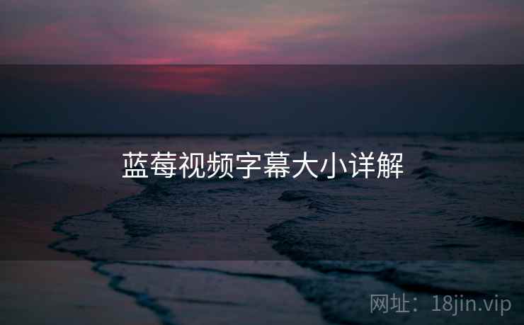 蓝莓视频字幕大小详解