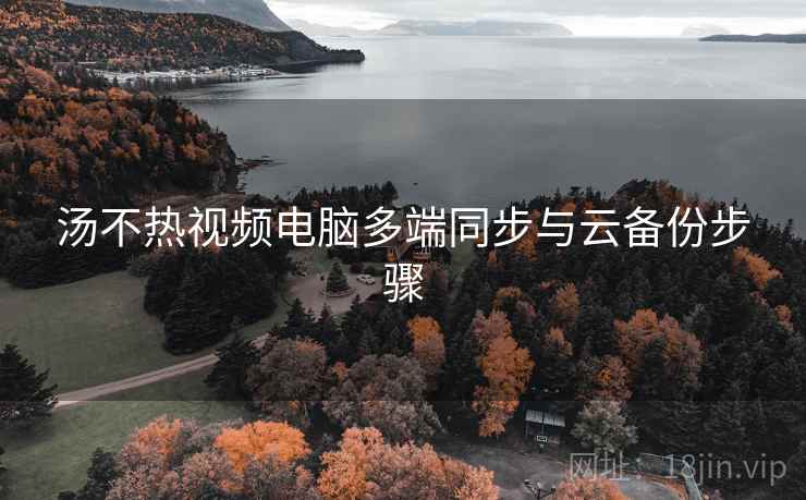 汤不热视频电脑多端同步与云备份步骤