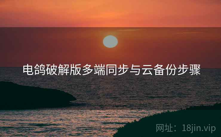 电鸽破解版多端同步与云备份步骤