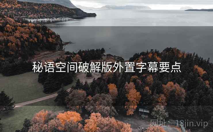 秘语空间破解版外置字幕要点
