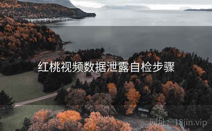 红桃视频数据泄露自检步骤